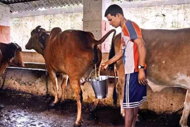 ಗೋಮೂತ್ರಕ್ಕೂ ಬಂತು ಬೇಡಿಕೆ !