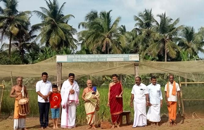 ಕದಿರು ತೆಗೆಯುವ ಮೂಲಕ ಗಣೇಶ ಚತುರ್ಥಿಗೆ ಪಂಜ ಪಂಚಲಿಂಗೇಶ್ವರ ಕ್ಷೇತ್ರ ಸಜ್ಜು
